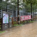 216 | 고척스카이돔 직관 후기 3루 외야 216구역 좌석 시야