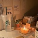 알잘딱깔센 이미지