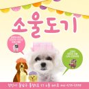 소울도기 이미지