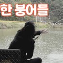 방아실낚시터 이미지