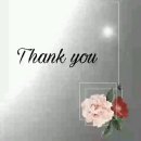 씨앤지건강 | 🎁 르소메 임신축하박스 언박싱 후기