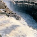 싱싱과일 이미지