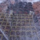 흙내음농장 이미지