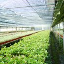 성지농원 이미지