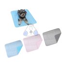 시원애견 이미지