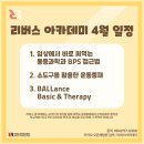 골든트리아카데미