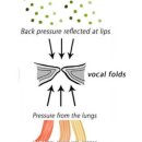 좋아요를 부르는 인스타그램 사용법 | [취미] 보컬 수업 한달 후기, 어썸기타학원 양재점