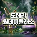 반려동물을 위한 천연아로마 힐링제품 원데이 클래스 | 도테라 원데이클래스 감정 아로마 테라피 직장인 힐링 취미 미라클 도테라 9가지 기적