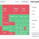 24시간 동안 $2.3억 청산… SOL·XRP 숏 포지션 타격 이미지