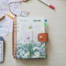 꿈벗컴퍼니 | 3p바인더특강 꿈벗컴퍼니 박대호 대표님 바인더 강의추천 나는 지금 내 목표의 어디쯤 와있는가? 목표...