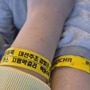 거두분식 | [부산 여행 코스 추천] 부산 삼진포차-어묵과 분식, 술, 새우가 무제한?!!