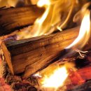 공정 1390 이미지