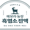 디자인보라