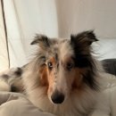 그자리 야영장 이미지