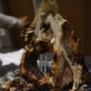 진참치상모사곡점 이미지