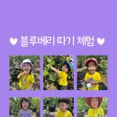 근화농장 이미지