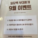 일당백부대찌개 | [하양맛집] 일당백 부대찌개, 가성비짱 햄폭탄 부대찌개 후기