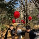 즐거운솔빛유치원 이미지