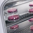 란화장품 이미지