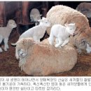 주식회사 일군산업 이미지