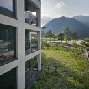 초곡리조트 | 정선 숙소 추천 파인포레스트 정선알파인리조트 숙박 후기