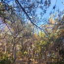 무성축산 이미지