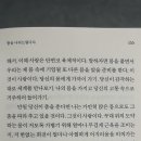 볼노스트