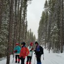 Pocaterra trail via Chester lake parking lot (Feb 06/2016) 이미지