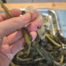 들깨시래기된장국 | 들깨 시락국 레시피 시래기된장국 끓이는법 시래기 요리