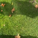 [독일 교환학생: 9월 넷째주] 출국, 기숙사 입주, welcoming party