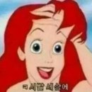 수원-0139 이미지