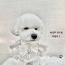 와니살롱