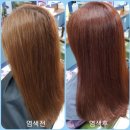 큐사랑염색 - 전주시 덕진구 정언신로 161-5 | 큐사랑염색