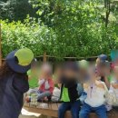 숲 체험 리틀 포레스트 이미지