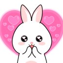 샤인뷰티아이브로우바 이미지