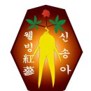 신송아웰빙홍삼