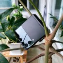 아민통신 이미지