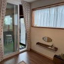 스테이 릴리 이미지