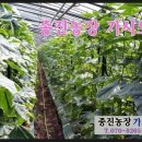 종진농장 이미지