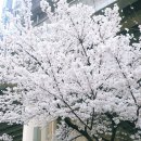 즉석두부촌식당 이미지