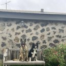 서쪽에서(귤이네) 이미지