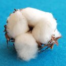 목화(아) 이미지