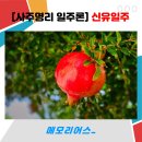 신유컨설팅