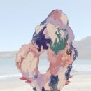 바다모은 이미지