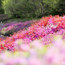 군포-산본-2003 네이버블로그