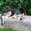 중앙동229 이미지