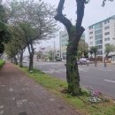 연산로 이미지