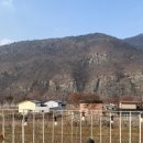 스테이목아 | 경북 청도 감성숙소 조용하고 가성비 좋은 스테이목아