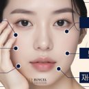 로이셀