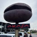 발리 바투르산 지프투어 가격, 옷, 코스 - 사진/후기 최고 아퐁팀 인생샷 대박!